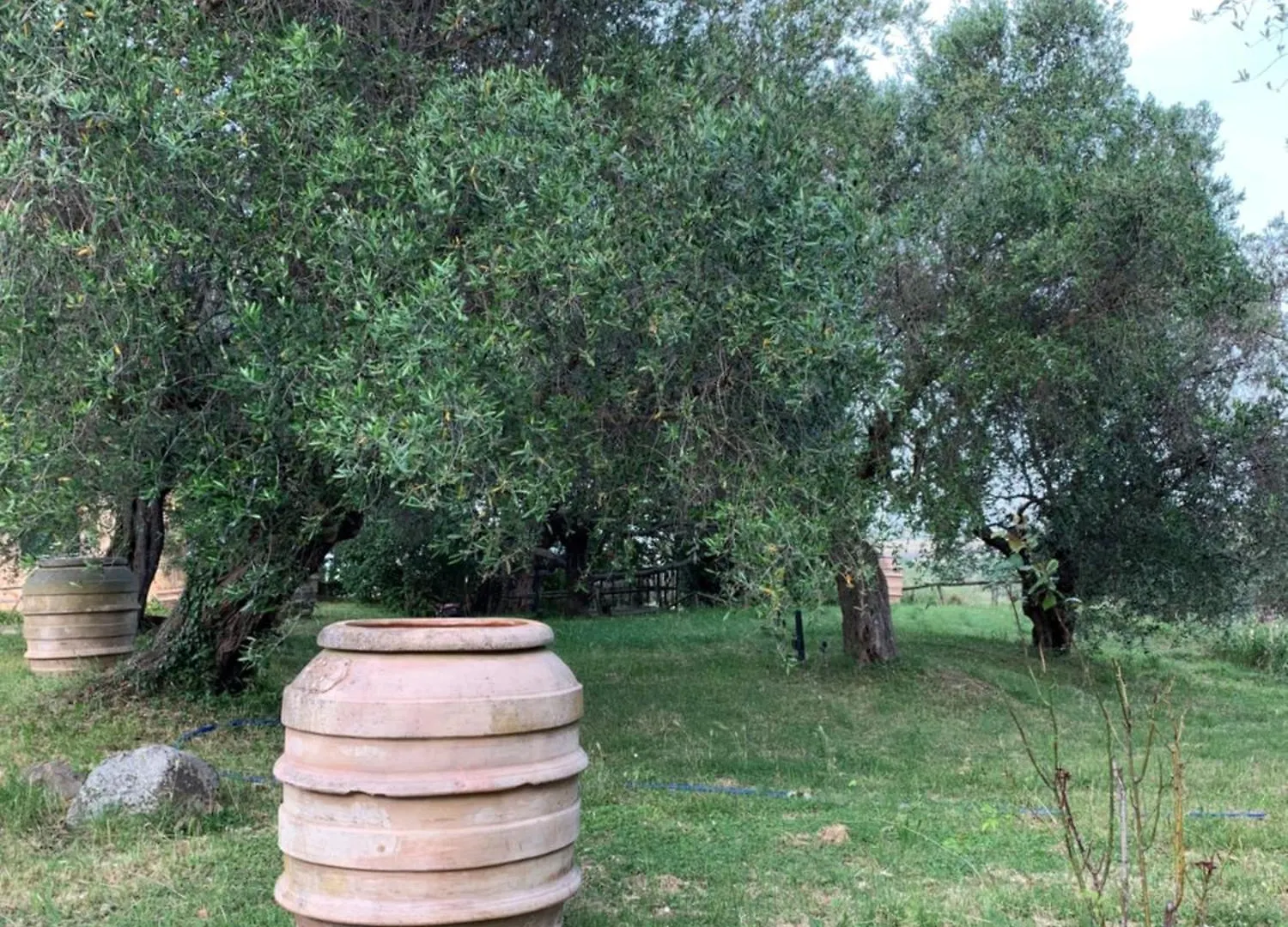 Agriturismo Poggialberi Apartment Castiglione della Pescaia 0*,  Italy